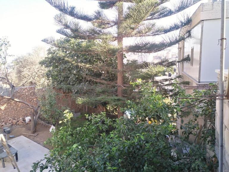 Aman Hostel Bethlehem Esterno foto